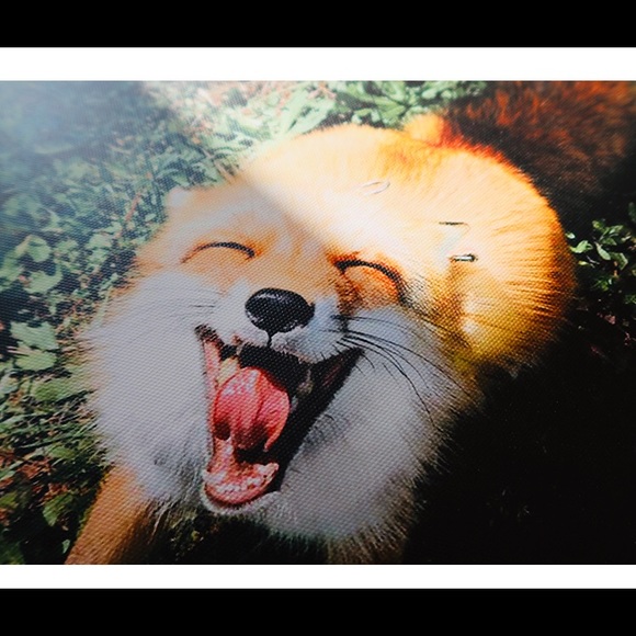 Smiling Fox - Rinoarts Collection - Picture 3 of 5